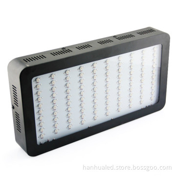 300W LED Hydroponics Lighting for Grow, Hydroponics LED Grow Light